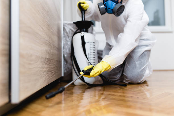 Best Insect Control  in Brownsville, LA