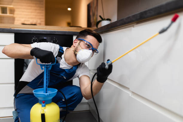 Professional Pest Control in Brownsville, LA