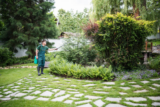 Best Pest Removal Services  in Brownsville, LA