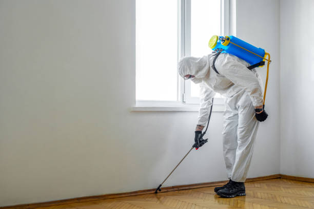 Best Flea Control Services  in Brownsville, LA