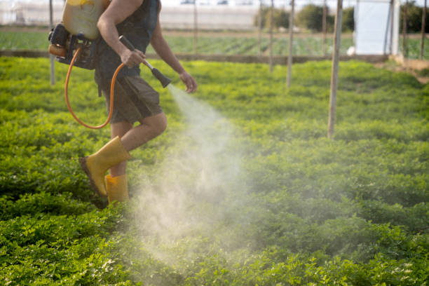 Best Commercial Pest Control Services  in Brownsville, LA