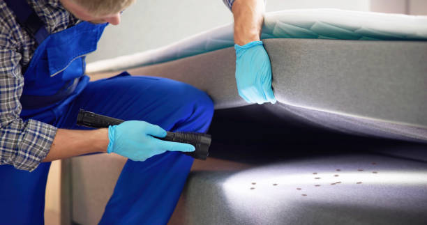 Best Pest Inspection Near Me  in Brownsville, LA