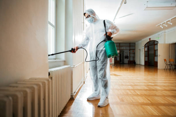 Best Best Pest Control Companies  in Brownsville, LA