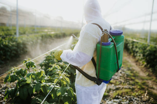 Best Affordable Exterminators  in Brownsville, LA